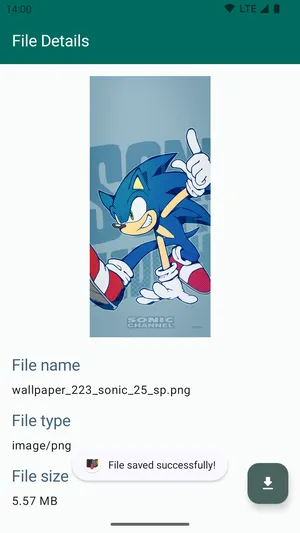 Save Locally Share2Storage